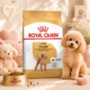 ROYAL CANIN Poodle Adult Dry Dog Food 1 5kg   Beautiful Coat Health   100  Original