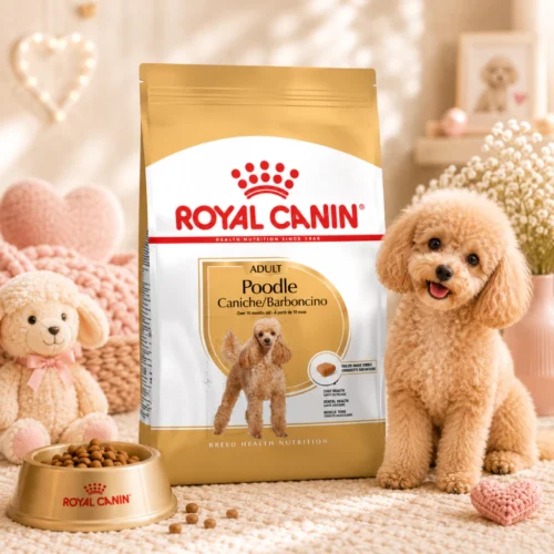 ROYAL CANIN Poodle Adult Dry Dog Food 1 5kg   Beautiful Coat Health   100  Original