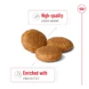 ROYAL CANIN Medium Adult Dry Dog Food 1kg Repack   Healthy Digestion   Coat   100  Original