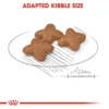 ROYAL CANIN Mini Adult Dry Dog Food 2kg   Small Breed Weight   Coat Health   100  Original