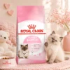 ROYAL CANIN Mother   Babycat Dry Cat Food 4kg   Easy Weaning   Immune Support   100  Original  Fast Ship
