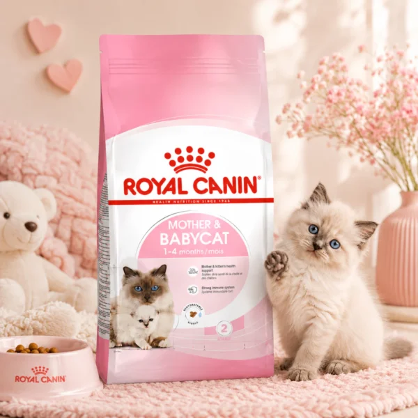 ROYAL CANIN Mother   Babycat Dry Cat Food 4kg   Easy Weaning   Immune Support   100  Original  Fast Ship