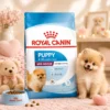 ROYAL CANIN Mini Indoor Puppy Dry Dog Food 1 5kg   Odour Control   Immunity   100  Original