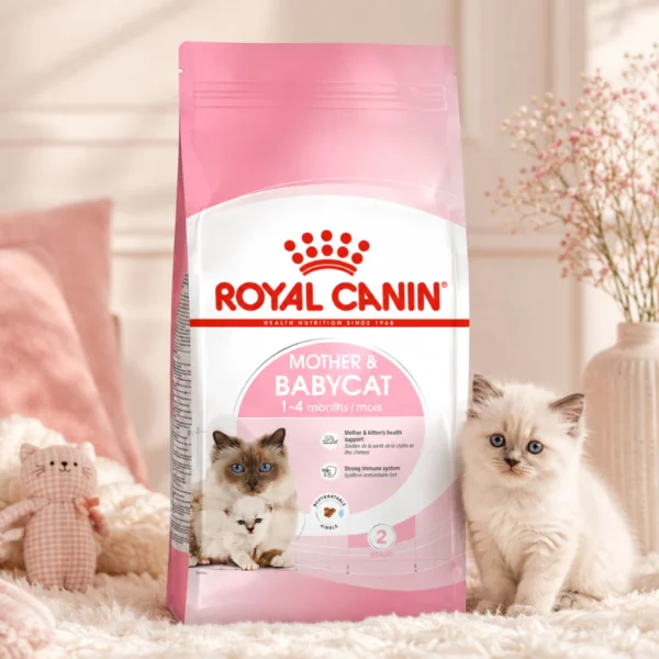 ROYAL CANIN Mother   Babycat Dry Cat Food 4kg   Easy Weaning   Immune Support   100  Original  Fast Ship