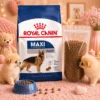 ROYAL CANIN Maxi Adult Dry Dog Food 1kg Repack   Large Breed Joint Health   100  Original Fast Ship