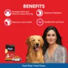 Drools Dog food Chicken and egg Adult 10kg