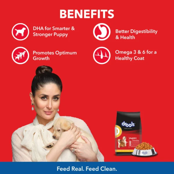 my-11134207-23020-tb7f8u31bunv95.webp Drools Dog food Chicken and Egg Puppy 3kg