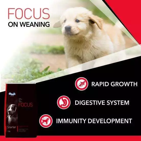 my-11134207-7r98o-lo6miv3mje9ye6.webp Drools Focus Super Premium Dry Dog Food 100G sample pack