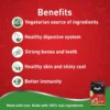 DROOLS 100% VEGETARIAN DRY DOG FOOD 3kg